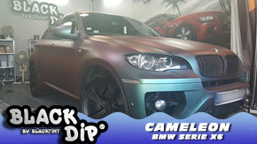 covering_cameleon_bmw_x6
